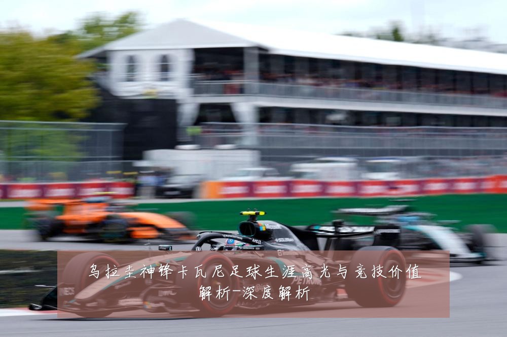 乌拉圭神锋卡瓦尼足球生涯高光与竞技价值解析-深度解析